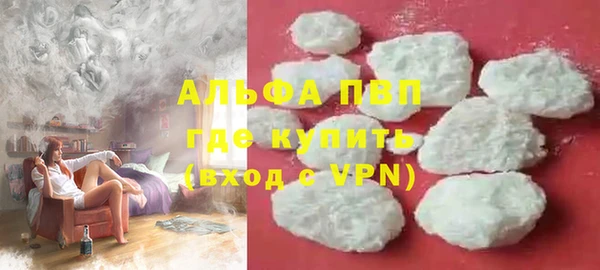 PSILOCYBIN Няндома