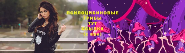 PSILOCYBIN Няндома