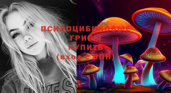 ПСИЛОЦИБИНОВЫЕ ГРИБЫ Осинники