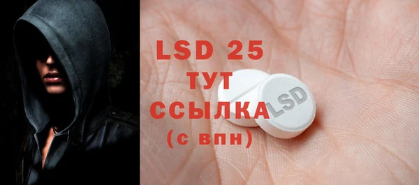 ПСИЛОЦИБИНОВЫЕ ГРИБЫ Осинники