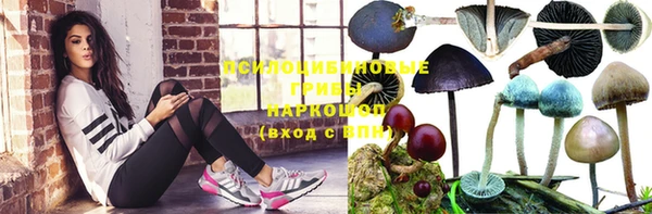 Альфа ПВП Нягань