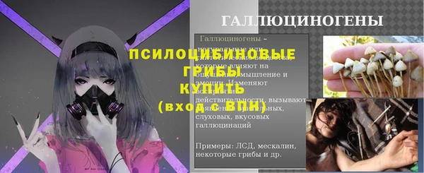PSILOCYBIN Няндома