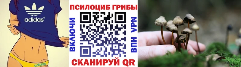 где можно купить наркотик  Красноуральск  Псилоцибиновые грибы ЛСД 